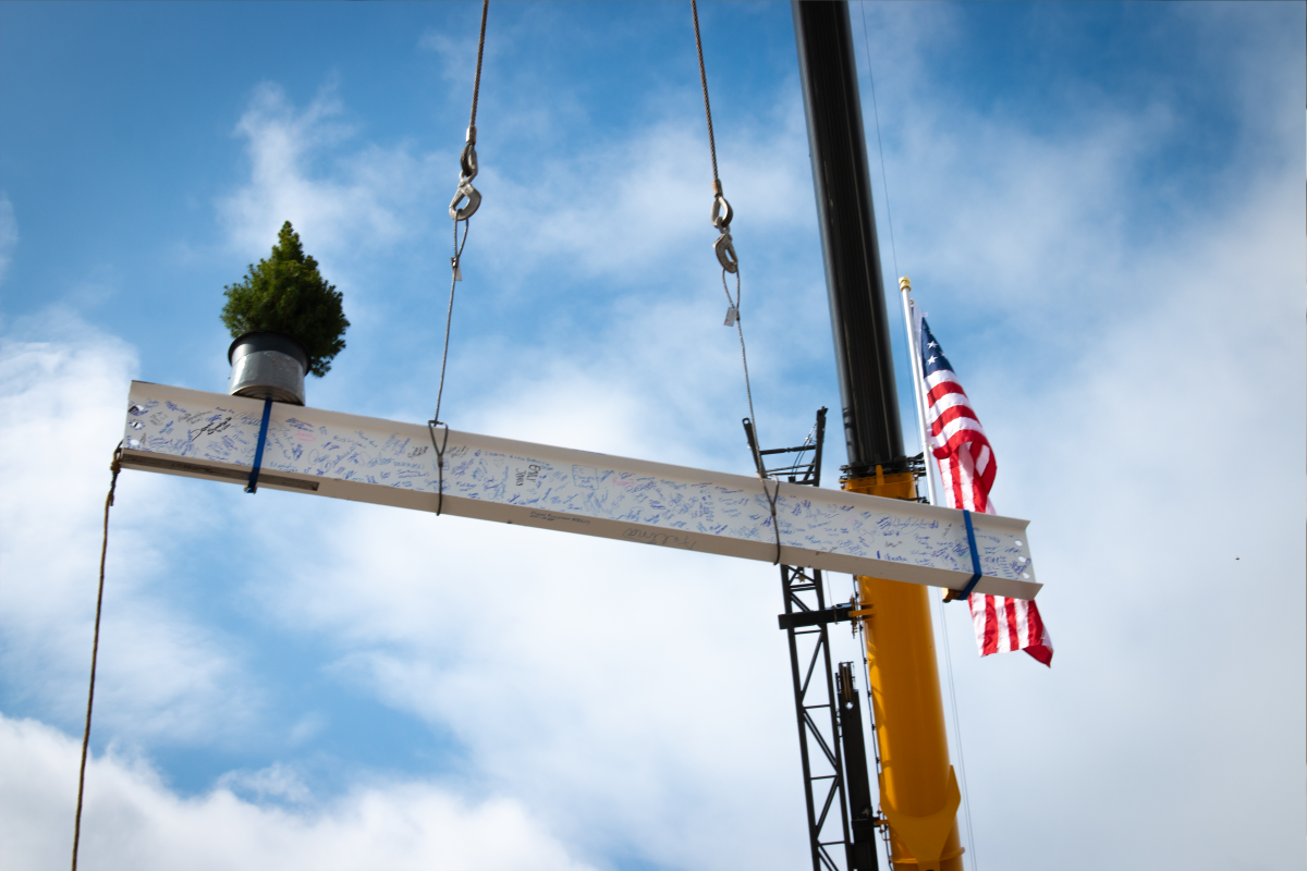 ED beam on crane
