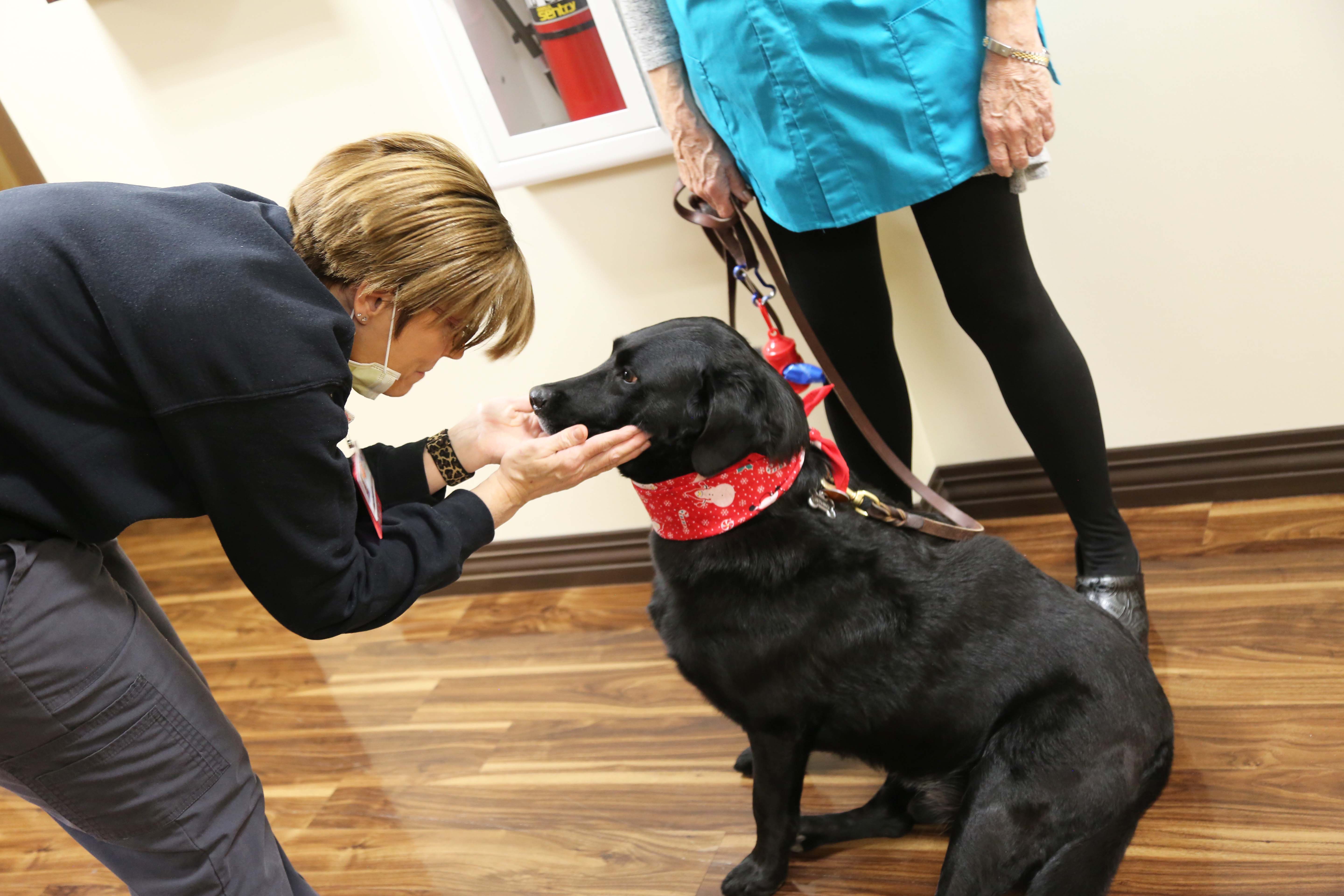 Therapy dog Jethro