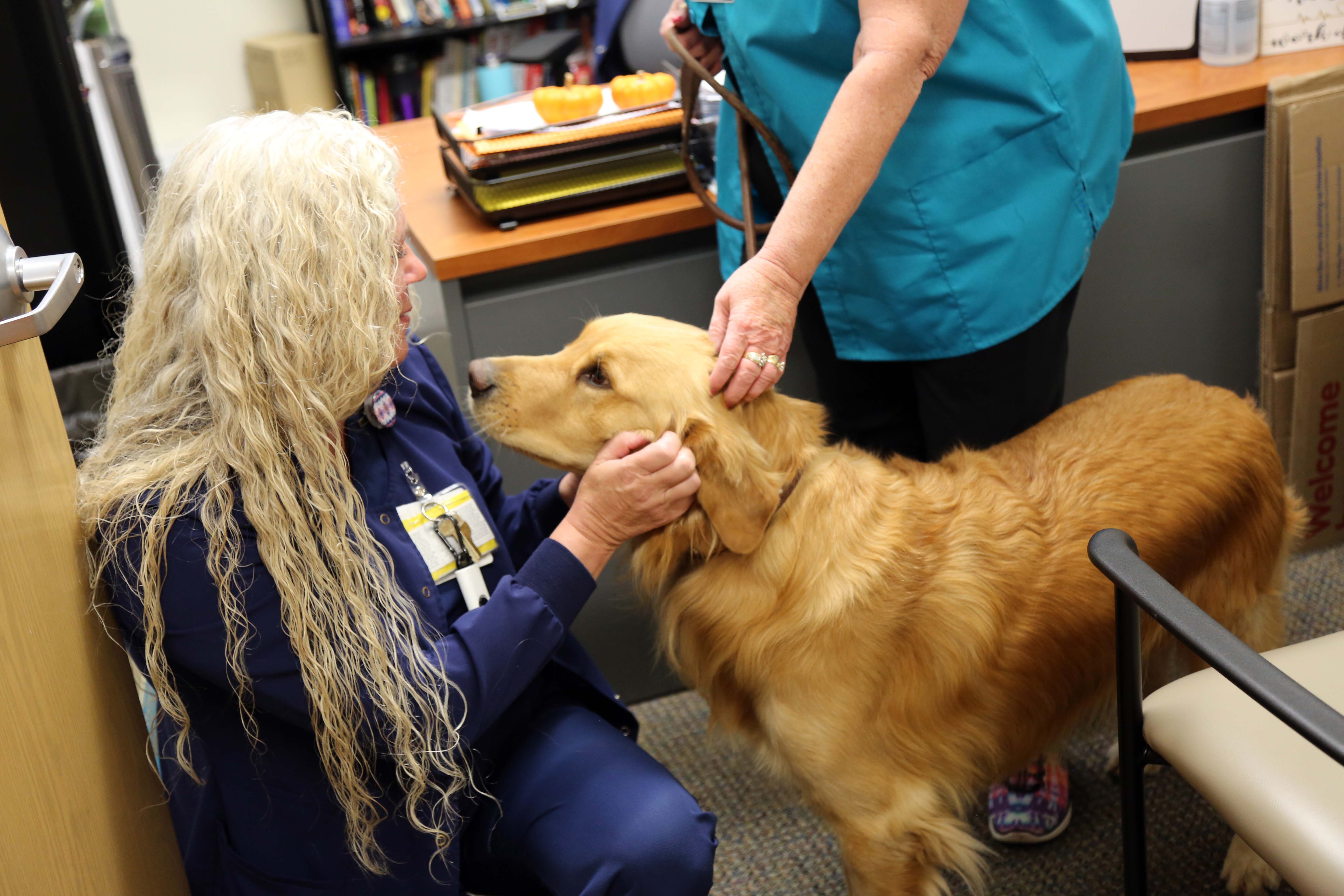 Therapy dog Ryder