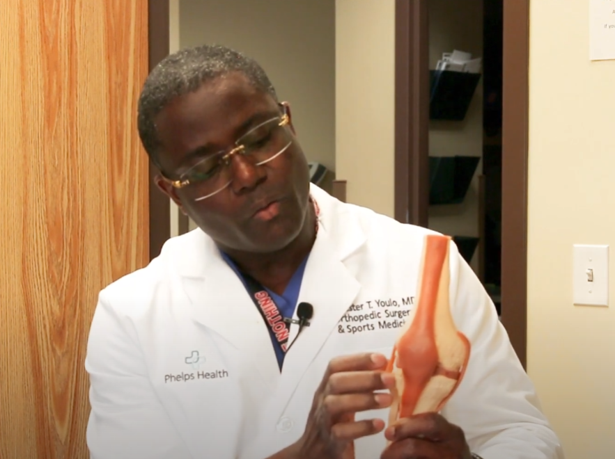 Dr. Youlo with a model of a knee joint