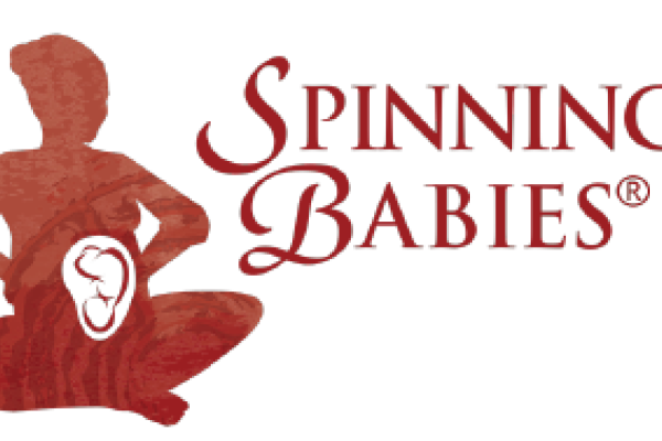 Spinning Babies® Workshop