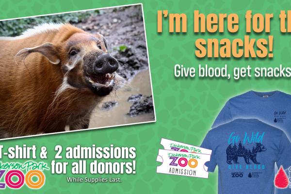 blood drive