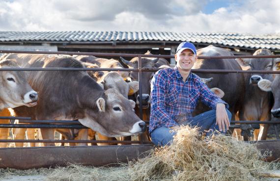 Cattle farmer